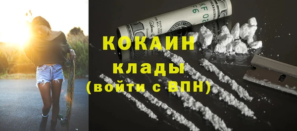 шишки Армянск