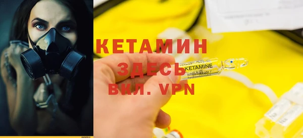 прущие грибы Арсеньев