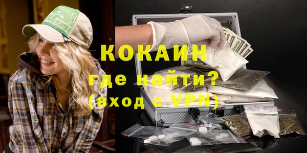 прущие грибы Арсеньев
