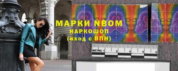 прущие грибы Арсеньев