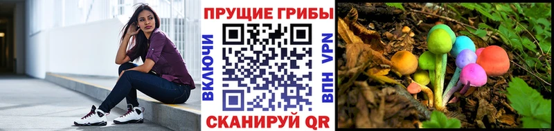 Галлюциногенные грибы Magic Shrooms Минусинск