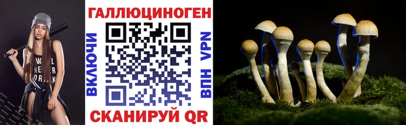 Псилоцибиновые грибы прущие грибы  Минусинск 